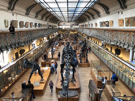 Museo Nacional de Historia Natural